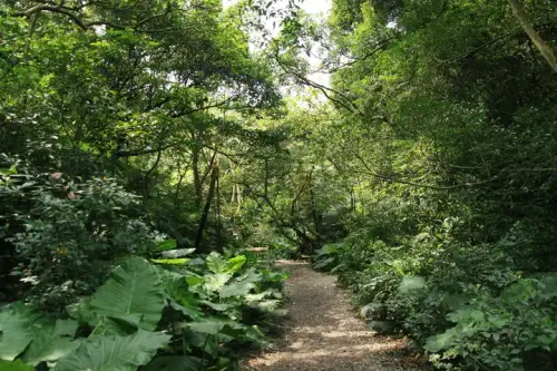 20080621 017 調整大小.webp