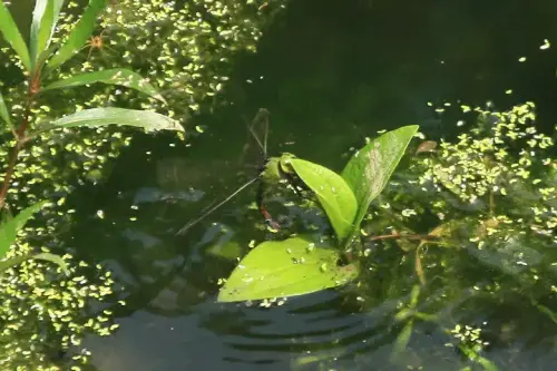 20080621 039 調整大小.webp