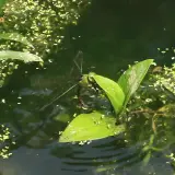 20080621 039 調整大小