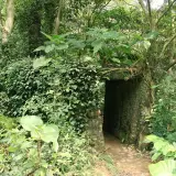 20080621 061 調整大小