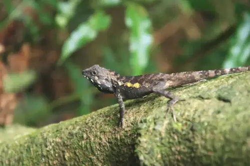 20080621 090 調整大小.webp