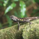 20080621 090 調整大小