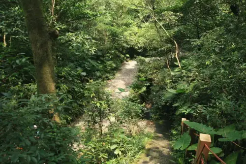 20080621 092 調整大小.webp