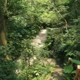 20080621 092 調整大小