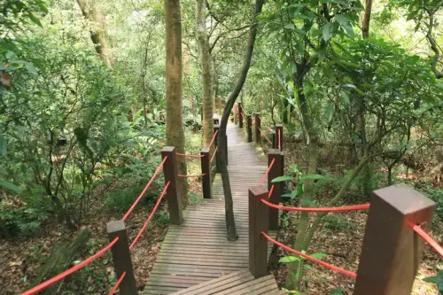 20080621 067 調整大小.webp