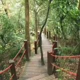 20080621 067 調整大小