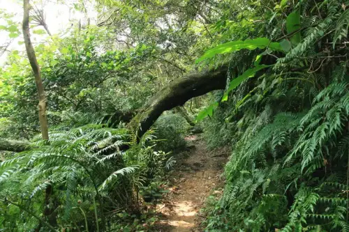 20080621 062 調整大小.webp