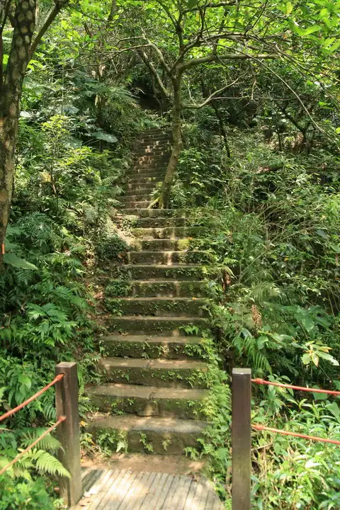 20080621 058 調整大小.webp