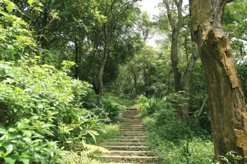 20080621 115 調整大小.webp