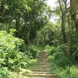 20080621 115 調整大小