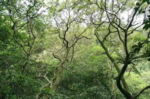 20080621 087 調整大小.webp