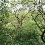 20080621 087 調整大小