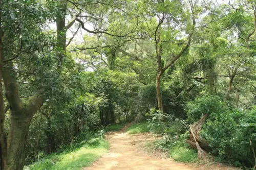 20080621 077 調整大小.webp