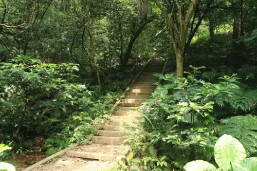 20080621 100 調整大小.webp