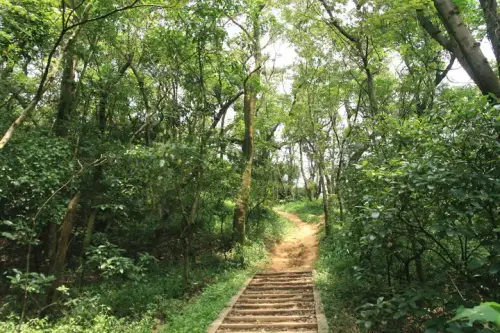 20080621 105 調整大小.webp