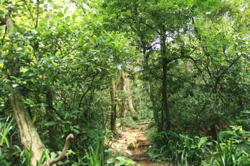 20080621 109 調整大小.webp