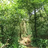 20080621 109 調整大小