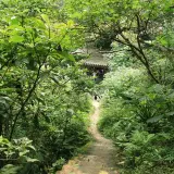 20080621 093 調整大小