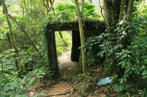 20080621 060 調整大小.webp