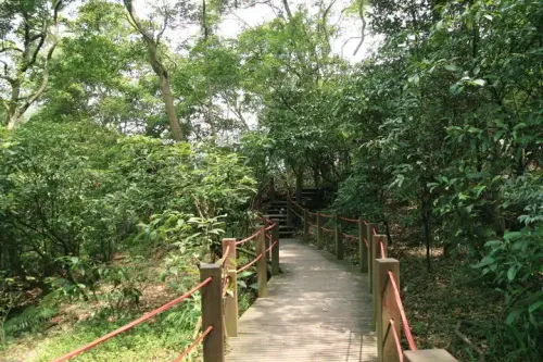 20080621 065 調整大小.webp