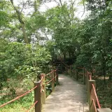 20080621 065 調整大小