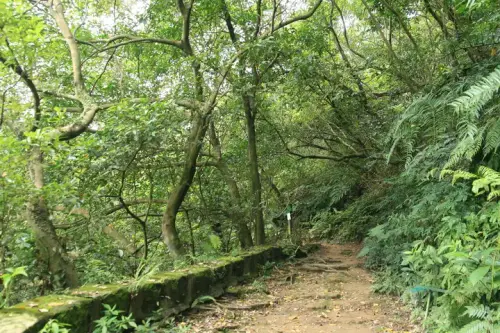 20080621 094 調整大小.webp