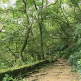 20080621 094 調整大小