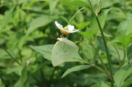 20080621 183 調整大小.webp