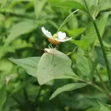 20080621 183 調整大小