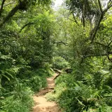 20080621 111 調整大小