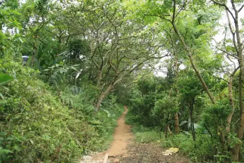 20080621 176 調整大小.webp