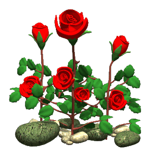 GSpVTEeTkMXLBgFmKRELWhGdEvT.webp