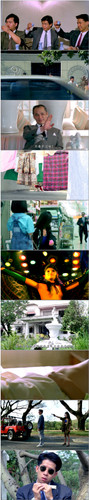 [惊天龙虎豹]Lethal Panther 1991 GER BluRay 1080p x264 AC3 2Audios FFans.jpg