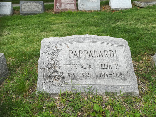 IMG 20170607 141157.jpg