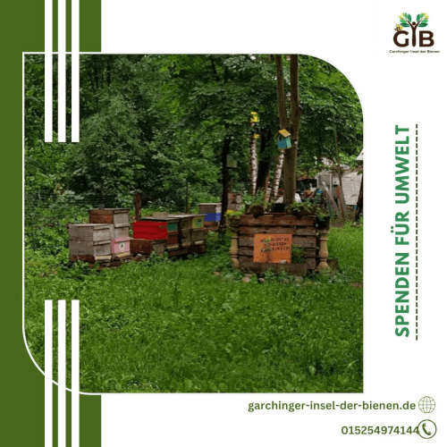 spenden für umwelt GIF.gif