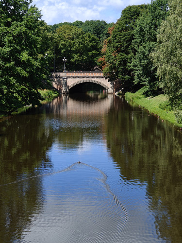 IMG20230718130123 Original.jpg