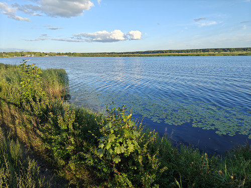 IMG20230720204707 Original.jpg