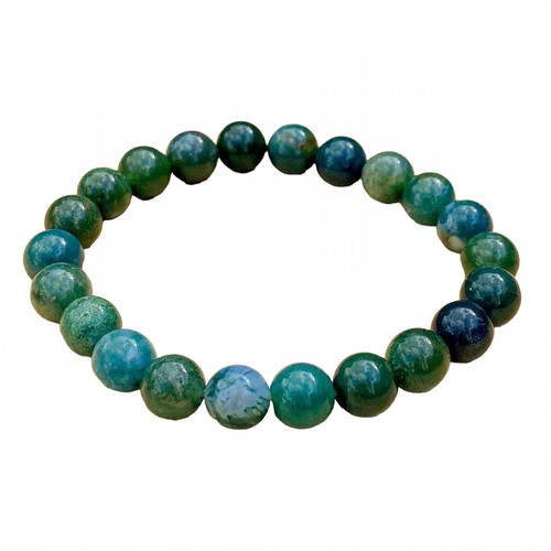 an.1 27 11zon PhotoRoom.jpg