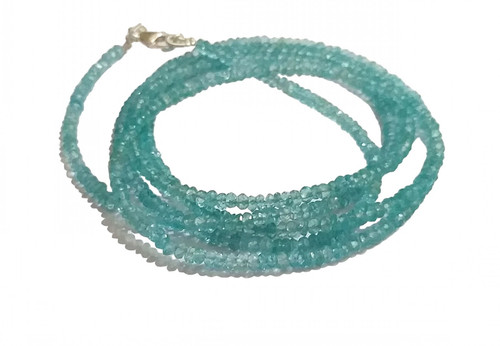 ed.1 215 11zon PhotoRoom.jpg