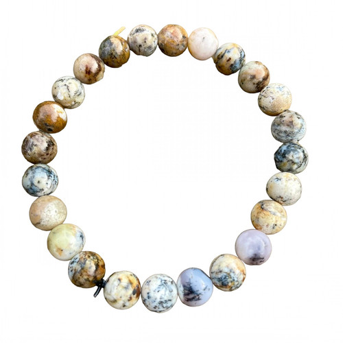 ao.1 29 11zon PhotoRoom.jpg