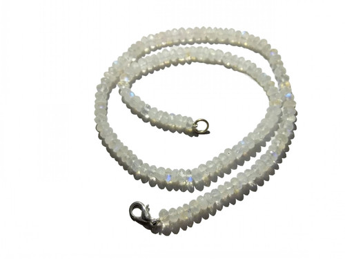 ez.1 259 11zon PhotoRoom.jpg