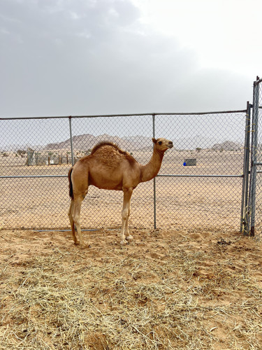 284DB497 8C8C 4B10 9BF2 DD24D4A672F7.jpg