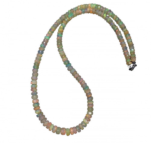 dm.1 181 11zon PhotoRoom.jpg