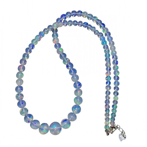 ef.1 219 11zon PhotoRoom.jpg