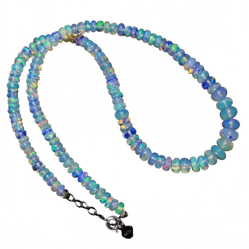 ec.1 213 11zon PhotoRoom.jpg