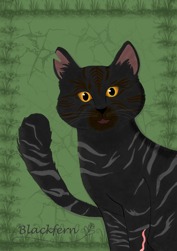 Blackfern.jpg