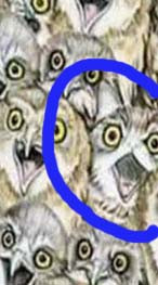 17 07 2023 08 48 31.jpg