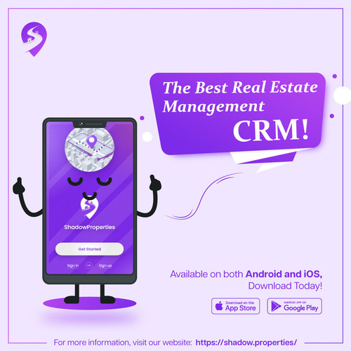 Image 3 6th March.jpg