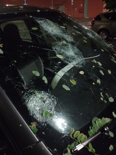 IMG 20230724 WA0006.jpg