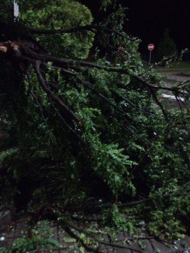 IMG 20230724 WA0020.jpg